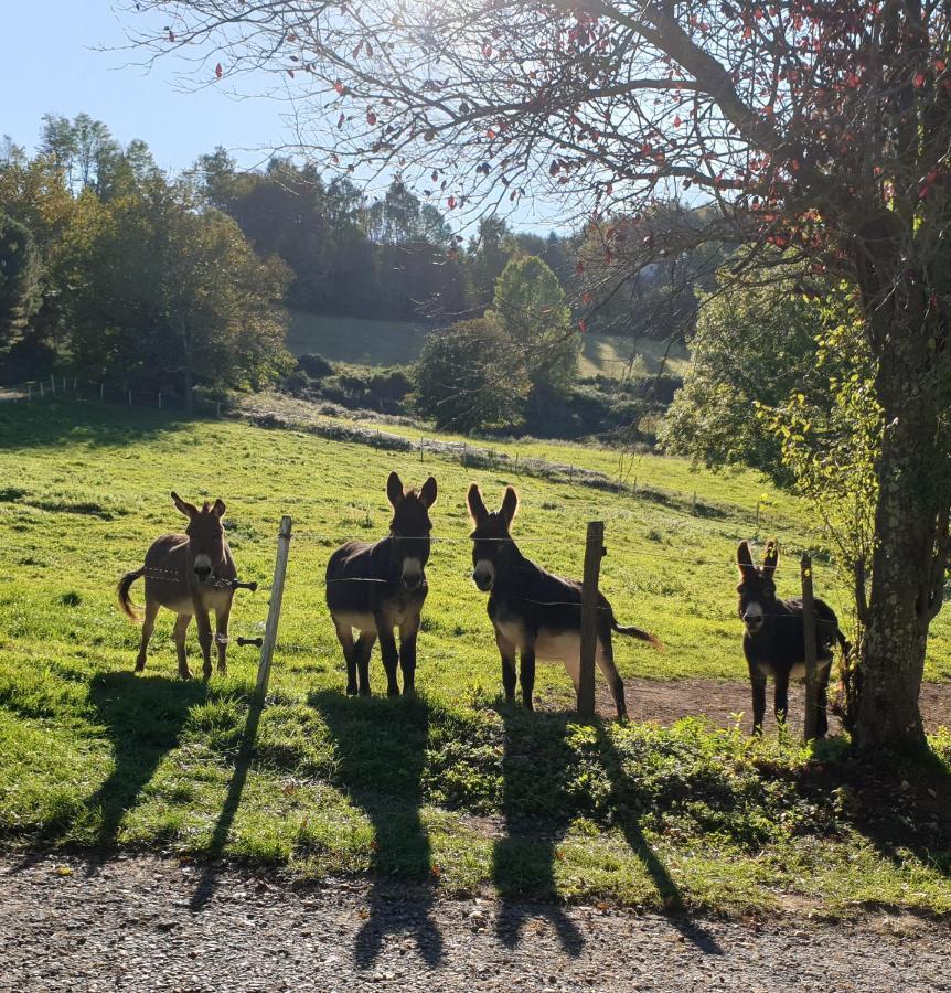 Bed and Breakfast La Ferme De Jeanne Saint-Girons  Esterno foto
