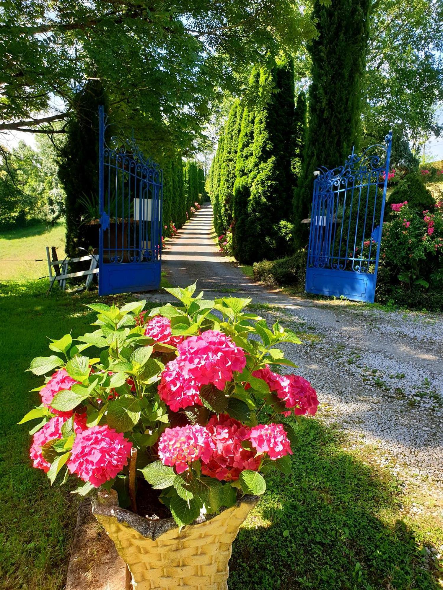 Bed and Breakfast La Ferme De Jeanne Saint-Girons  Esterno foto